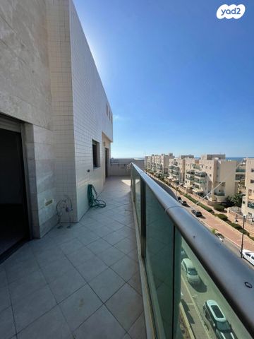 רחבעם זאבי 14