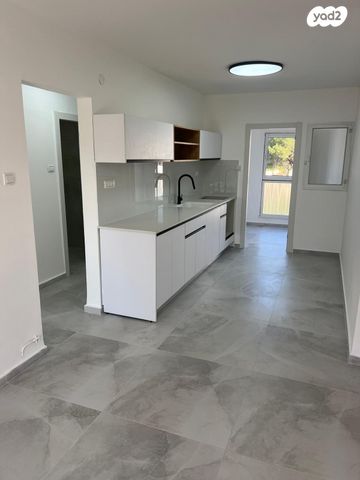 דירה, הגליל, כרמיאל