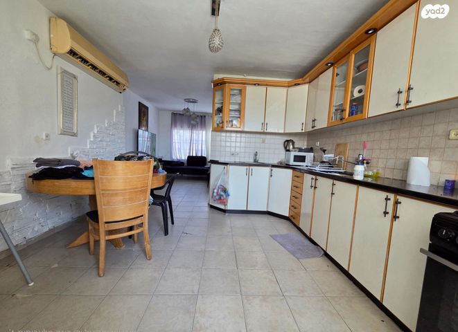 יצחק בן צבי 