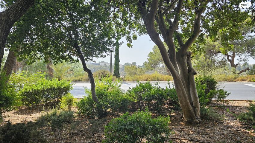 דירת גן, רחביה, ירושלים