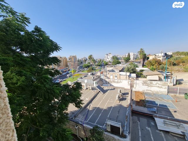 דירה, הנשיא, גבעת הזיתים, פסגת לוד, לוד