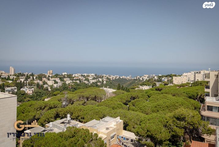 גג/ פנטהאוז, שדרות הנשיא, רמת התשבי, חיפה