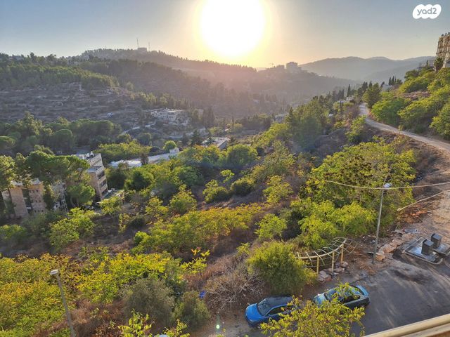 עמנואל אולסבנגר 