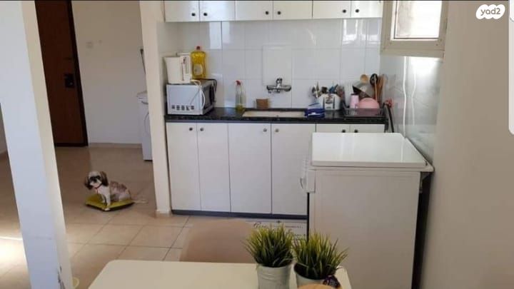 דרך הטכניון 