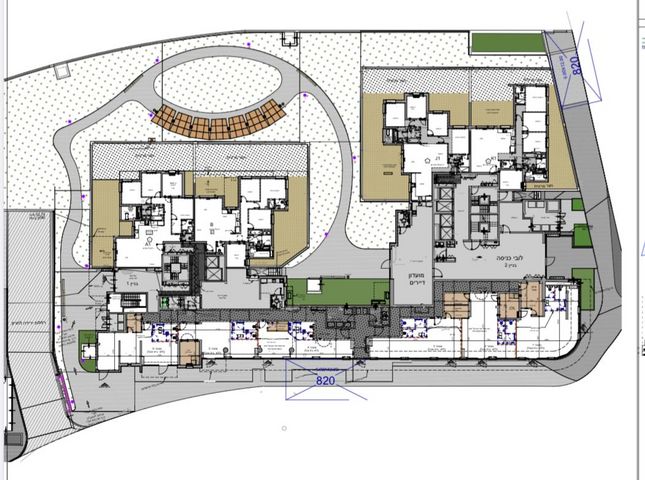 יערות הכרמל 16