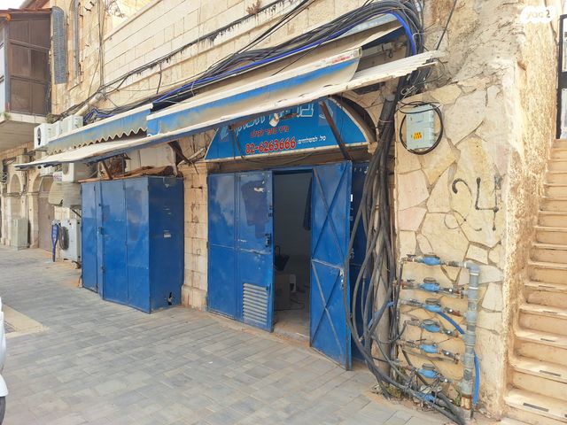 שבטי ישראל 24