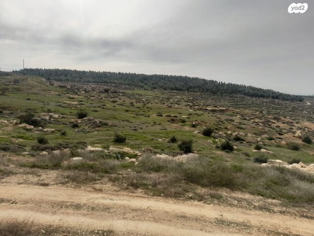 דירת גן, דרך הגורן 1, מצדות יהודה, מצדות יהודה / בית יתיר