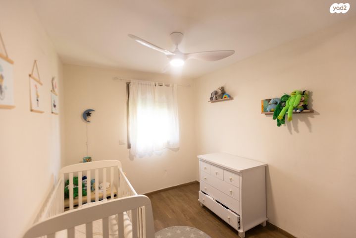 דירה, הפלמ"ח, נווה אליאס, טירת כרמל