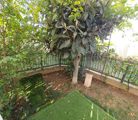 דירת גן, בן גוריון, נצרת עילית / נוף הגליל