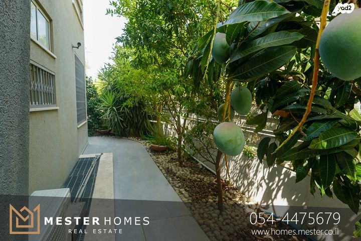 דו משפחתי, שלמה לוי, מקוב, רחובות