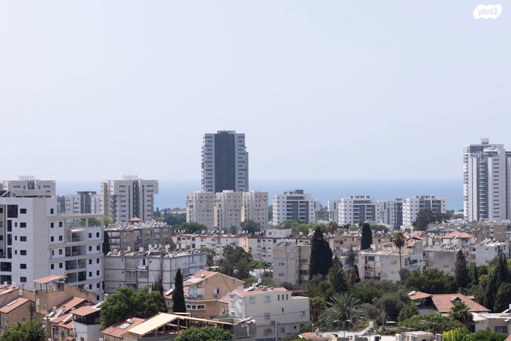 דירה, הפלמ"ח, נווה אליאס, טירת כרמל