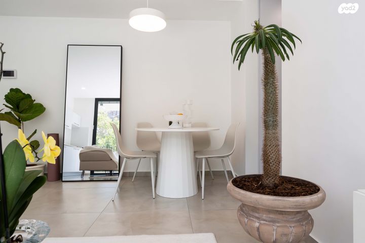 דירה, תל אביב יפו