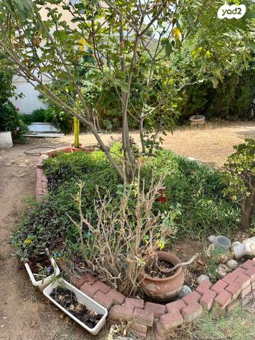 דירה, דליה, הל"ה, גבעתיים