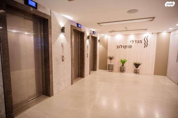 סוקולוב 26