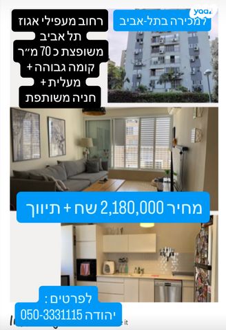 מעפילי אגוז 