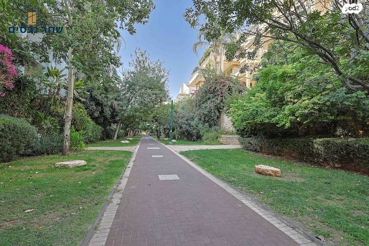 דירה, חלוצים, כפר סבא