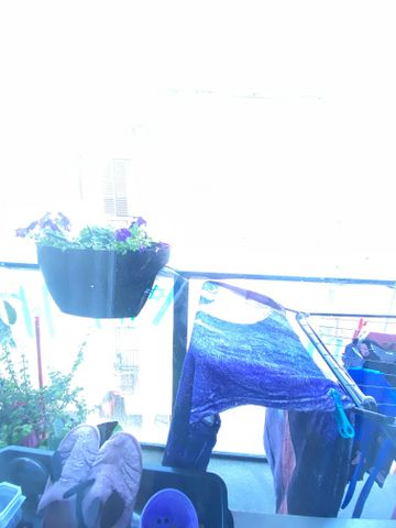 דירה, ברנשטיין 3, נאות רחל, חולון