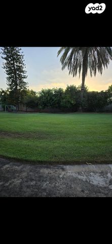 קליניקות, רינתיה