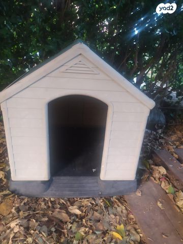 תמונת מודעה - חיות מחמד