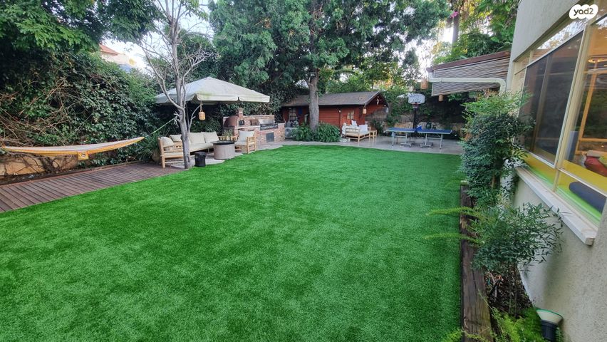 מבוא דלתון 6