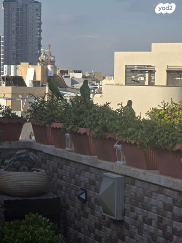 גג/ פנטהאוז, טבנקין 6, דרום מערב ותיק, בת ים