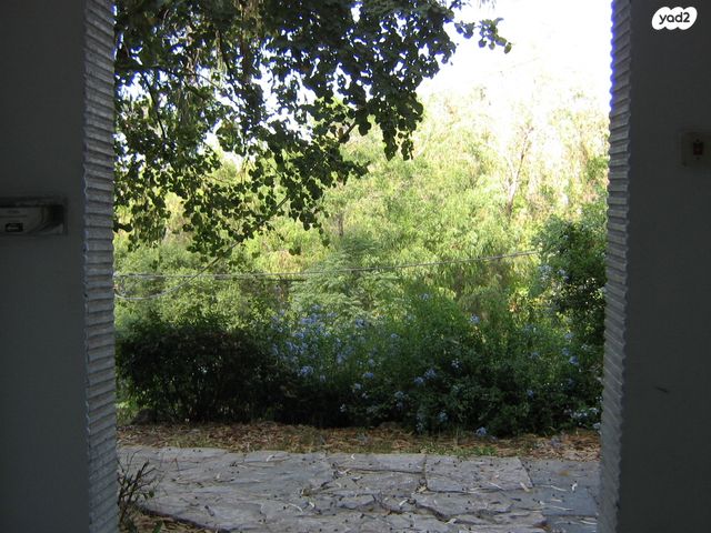 זלמן שניאור 15