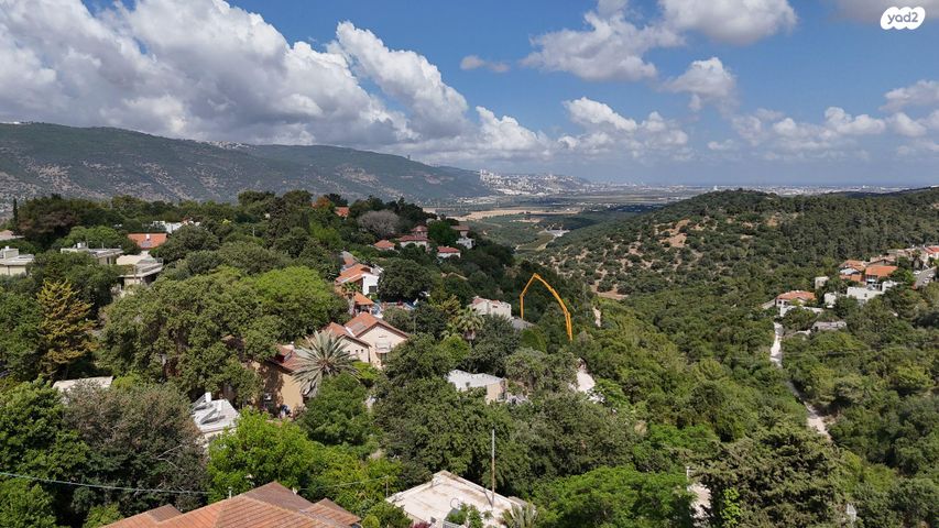 מגרשים, טבעון הוותיקה, קרית טבעון