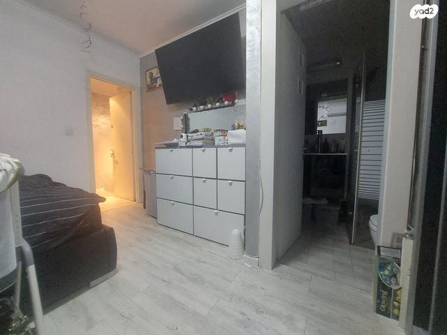 גג/ פנטהאוז, צמרות, גני אביב, לוד