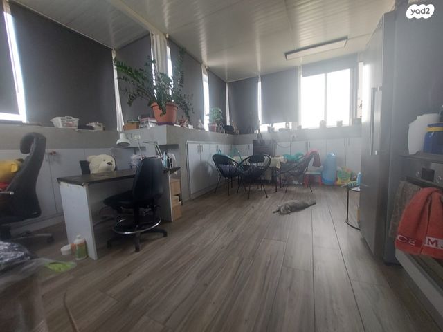 גג/ פנטהאוז, צמרות, גני אביב, לוד