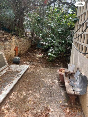 דירת גן, טשרניחובסקי, כרמל צרפתי, חיפה