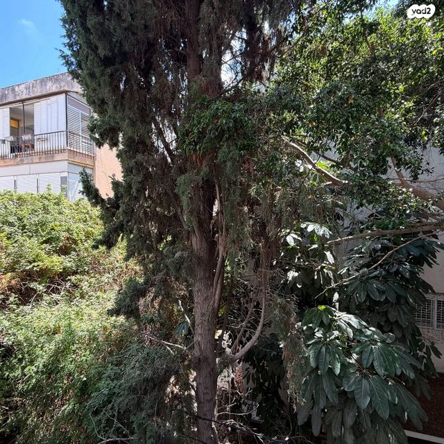 דירה, שלמה המלך, הצפון הישן - צפון, תל אביב יפו