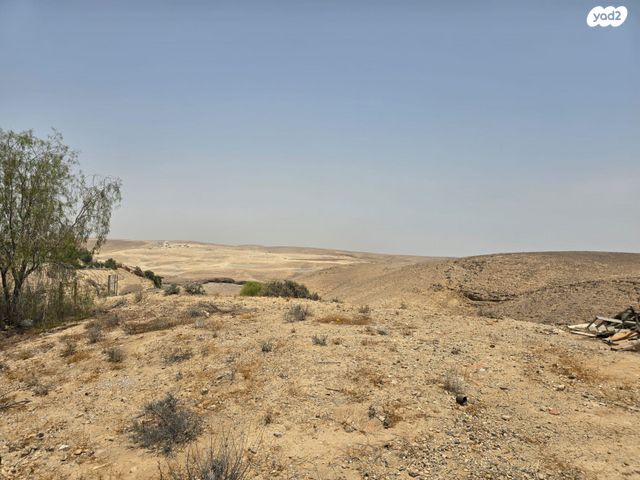 דו משפחתי, ערד