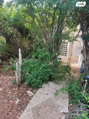 דירת גן, טשרניחובסקי, כרמל צרפתי, חיפה