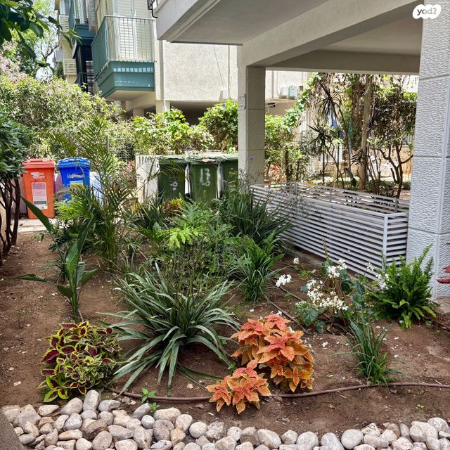 דירה, שלמה המלך, הצפון הישן - צפון, תל אביב יפו