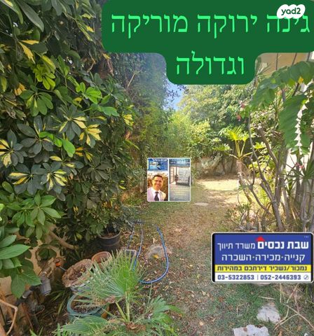 השכונה הוותיקה