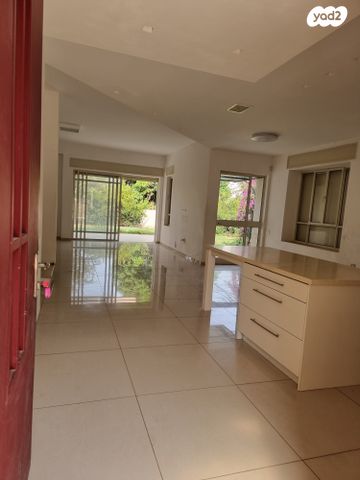 דוד וולפסון 