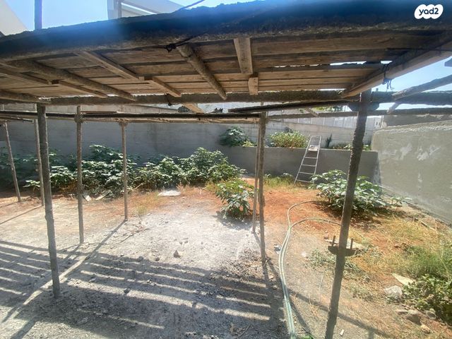 דירה, תל מונד