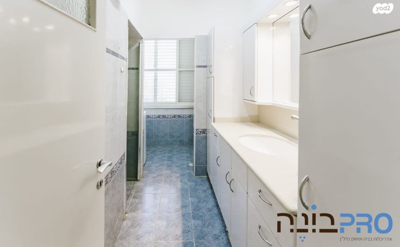 דירה, הכרמל, רמב"ם, ראשון לציון