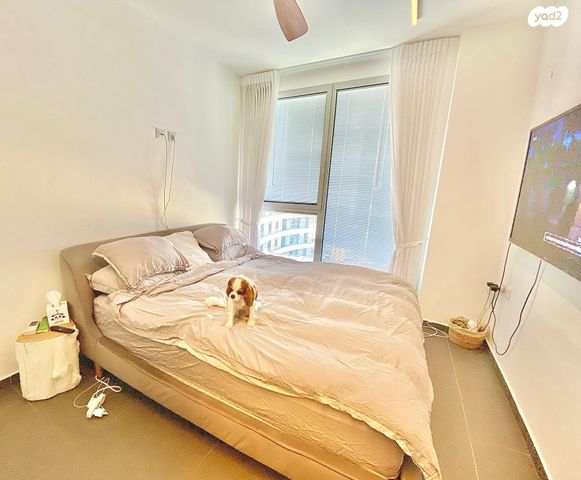 דירה, תל אביב יפו