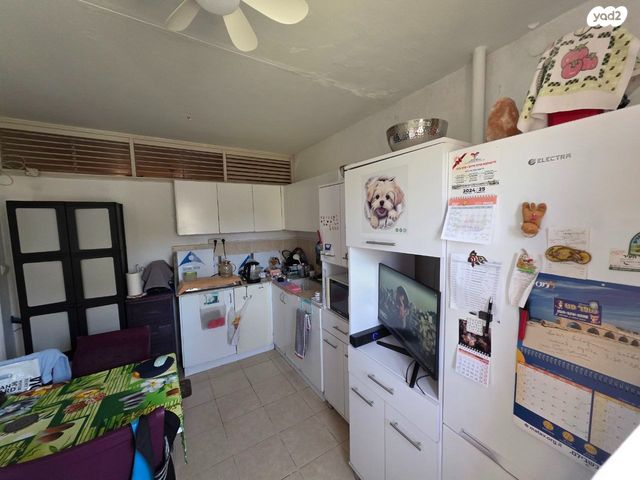 דירה, ביאליק, שקמים ואגמים, אשקלון