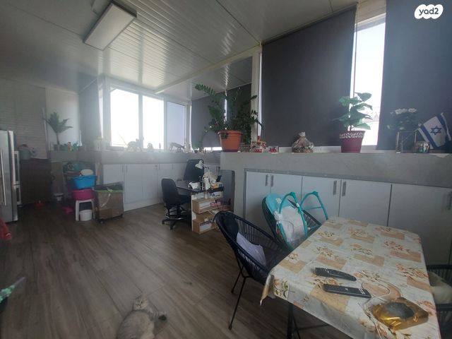 גג/ פנטהאוז, צמרות, גני אביב, לוד