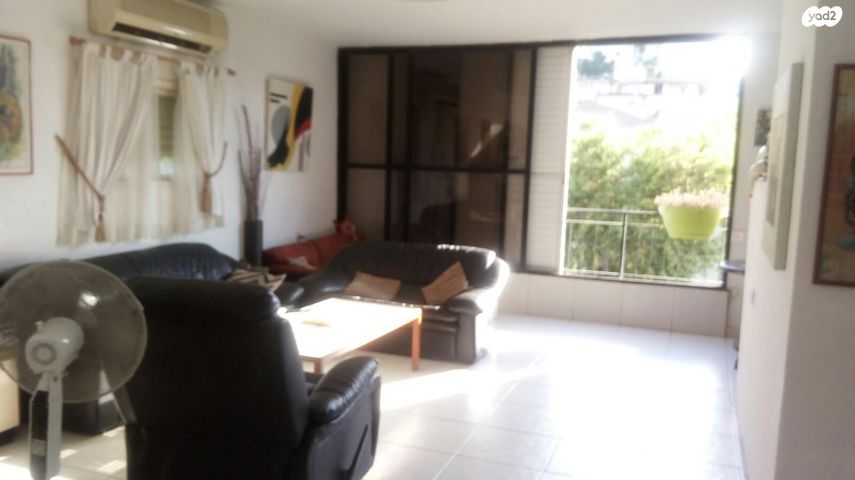 יוסף הגלילי 20