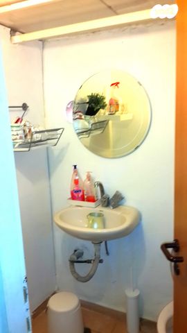 מדבר סיני 56