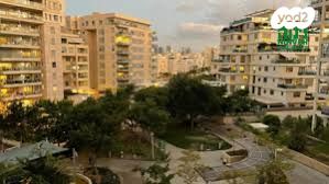 אמיר גלבוע 