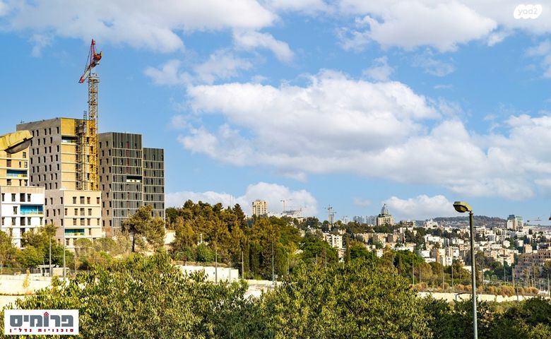 דירה, בית הכרם, רמת בית הכרם, ירושלים