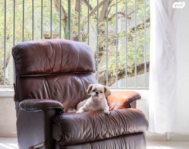 דירה, האחים אוסטשינסקי, ראשונים, ראשון לציון