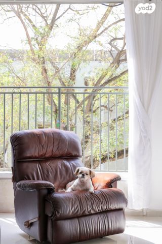 דירה, האחים אוסטשינסקי, ראשונים, ראשון לציון