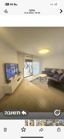 אריה דולצ'ין 