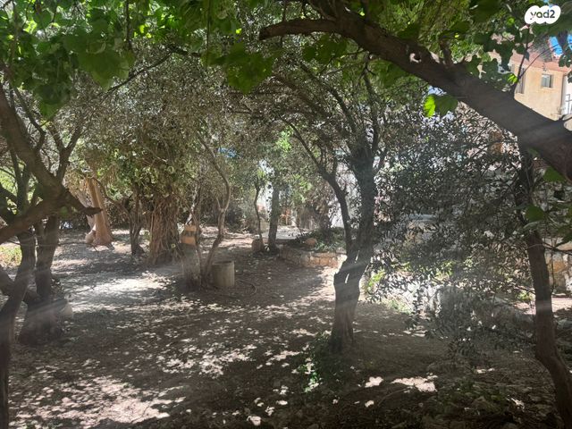 בית פרטי/ קוטג', כ"א, צפת