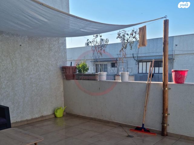 דירה, שאול המלך, מרכז העיר, בית שאן